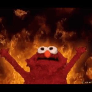 Meet your Posher, Moraima